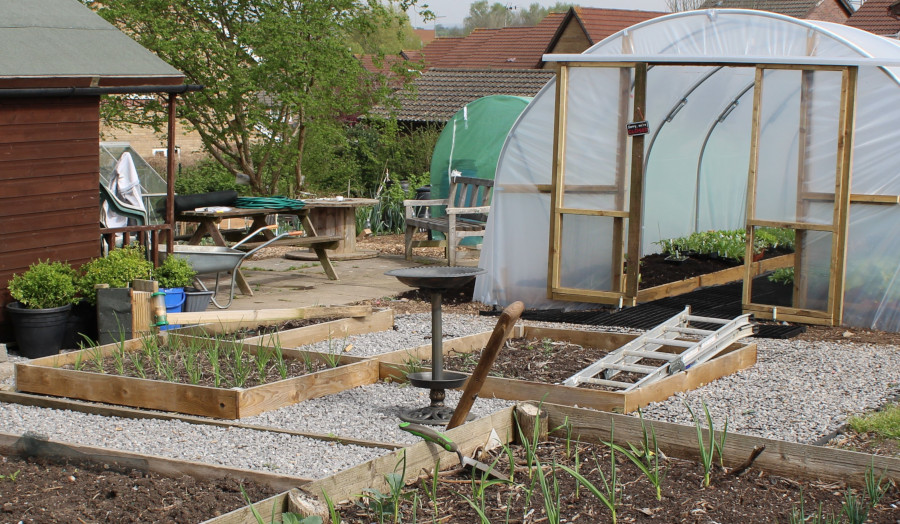Caswell Clinic Allotment